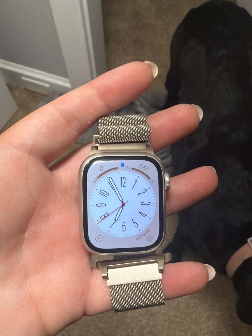 Apple Watch Series 8